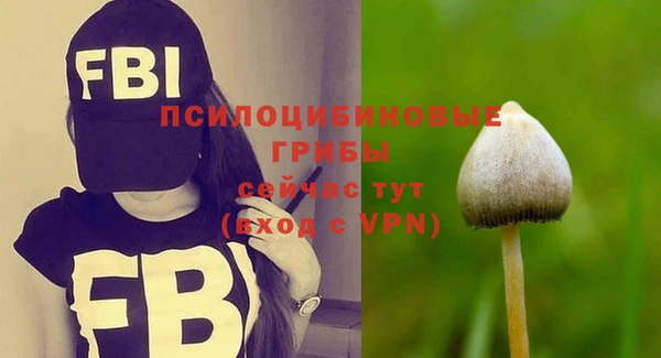 ПСИЛОЦИБИНОВЫЕ ГРИБЫ Баксан