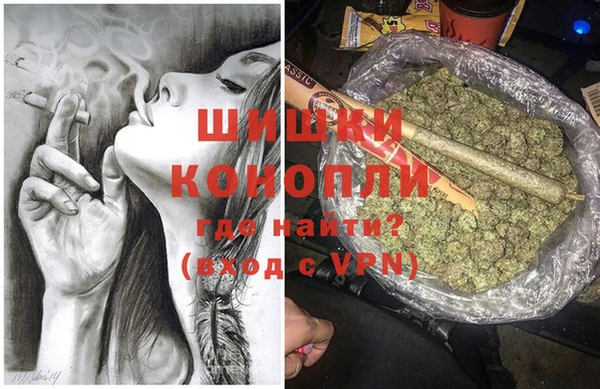 PSILOCYBIN Богданович