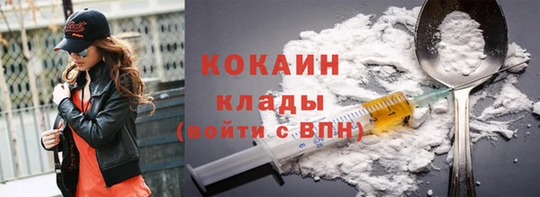 mdpv Богородск